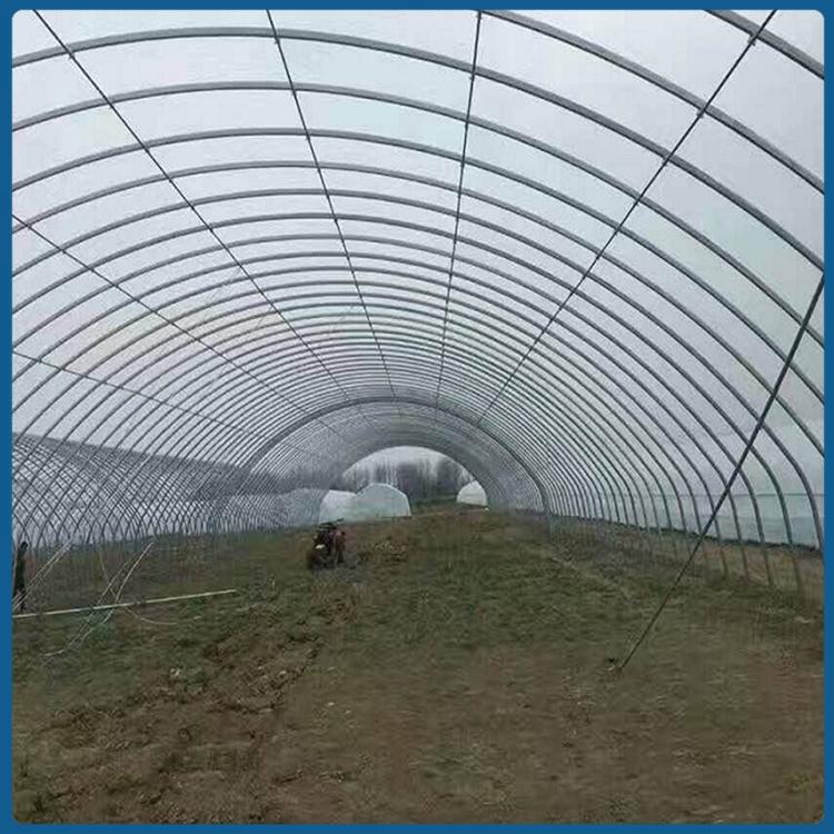 上门搭建 花卉大棚 简易大棚安装