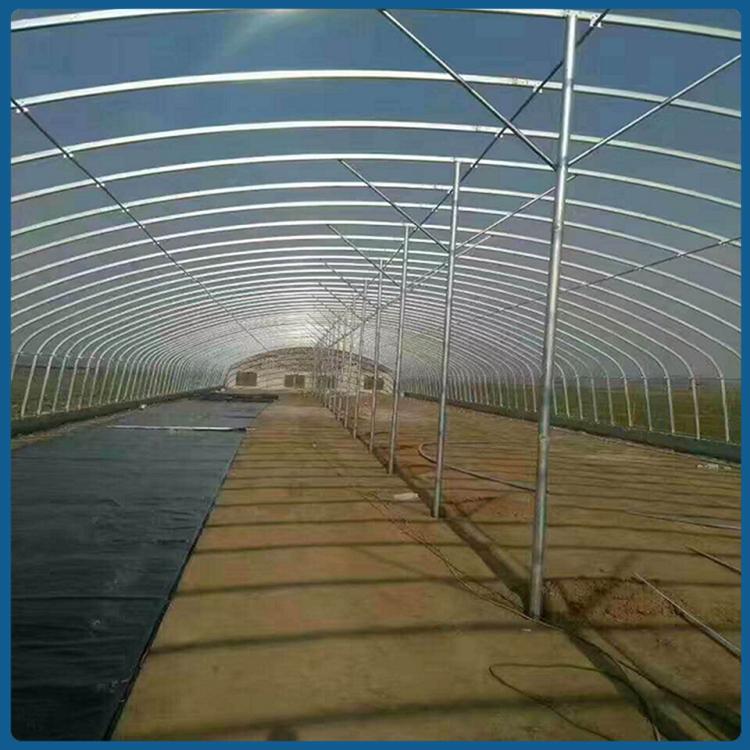 简易大棚价格 青州花卉大棚 鑫创温室公司