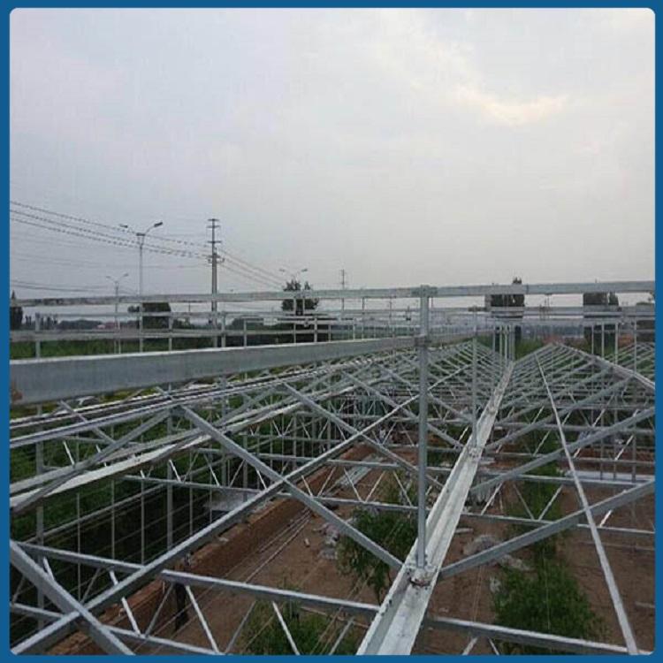 温室大棚 鑫创温室工程 青州纹络温室定制