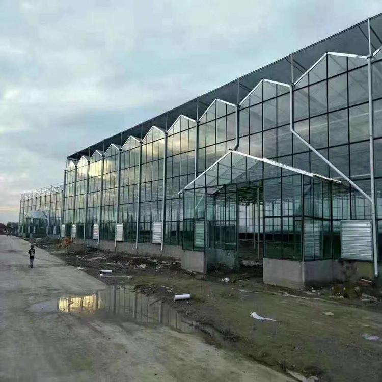 山东智能温室报价 连栋玻璃温室 温室工程 欢迎咨询鋆成兴达