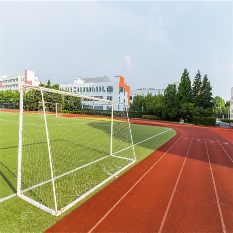体育场地远洋体育塑胶跑道13mm混合型塑胶跑道面层