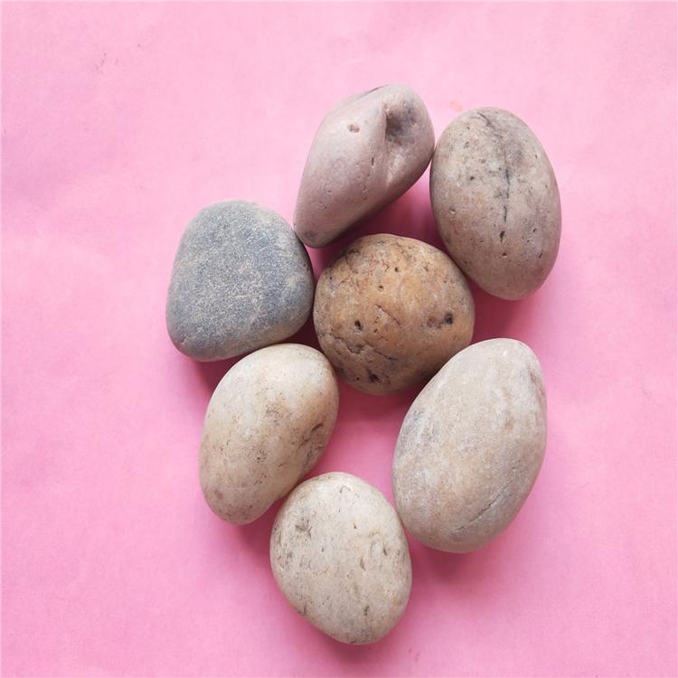 天然铺路鹅卵石  变压器承托层用鹅卵石 大量优惠