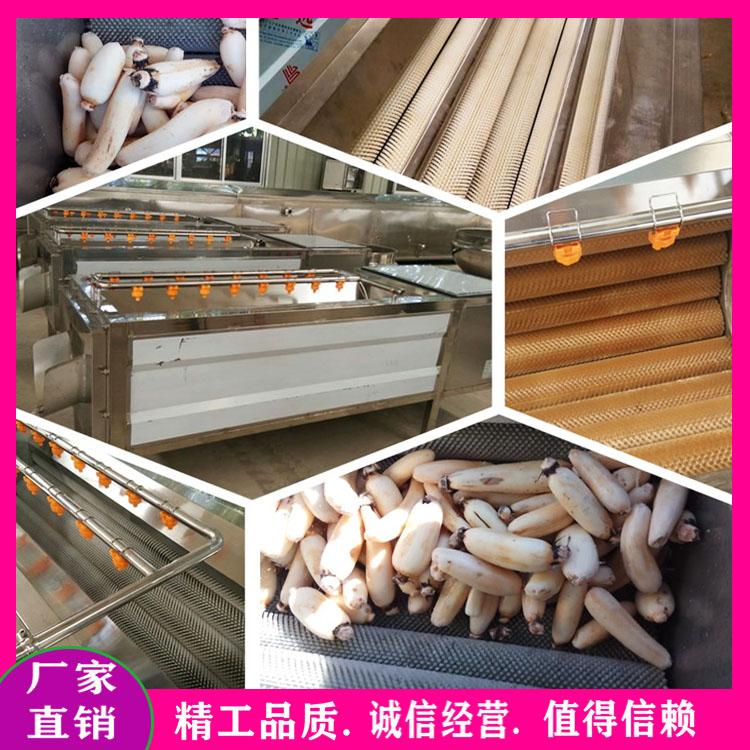 毛辊去皮去杂清洗机 根茎类蔬菜清洗机 胡萝卜土豆芋头去皮清洗设备厂家直销