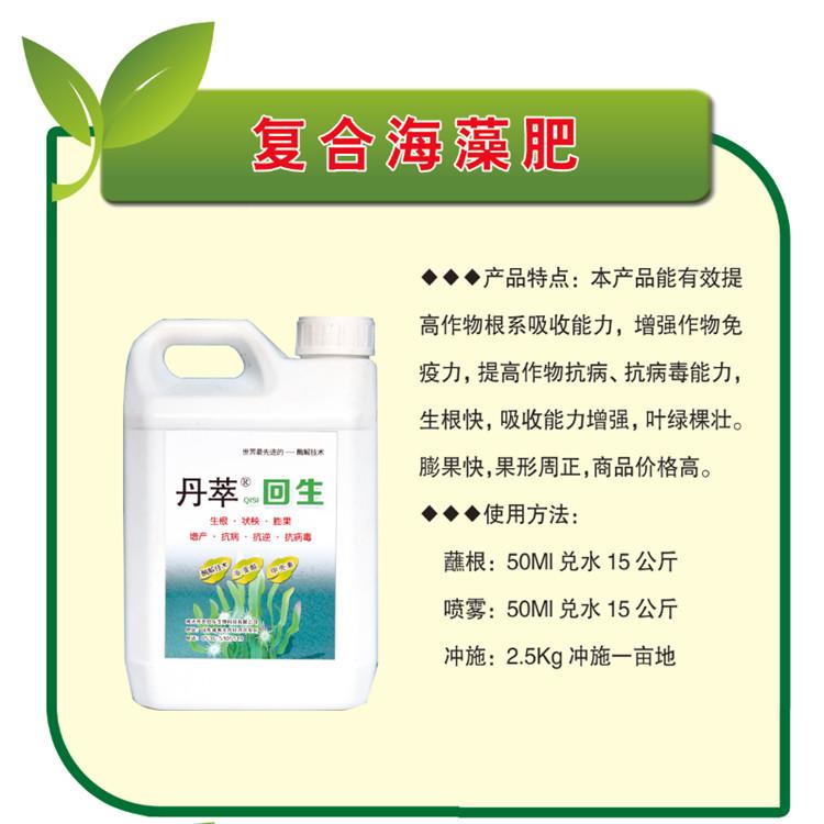 海藻酸生根剂批发商 果蔬生根素销售 根系活力素 现货供应 批发好价