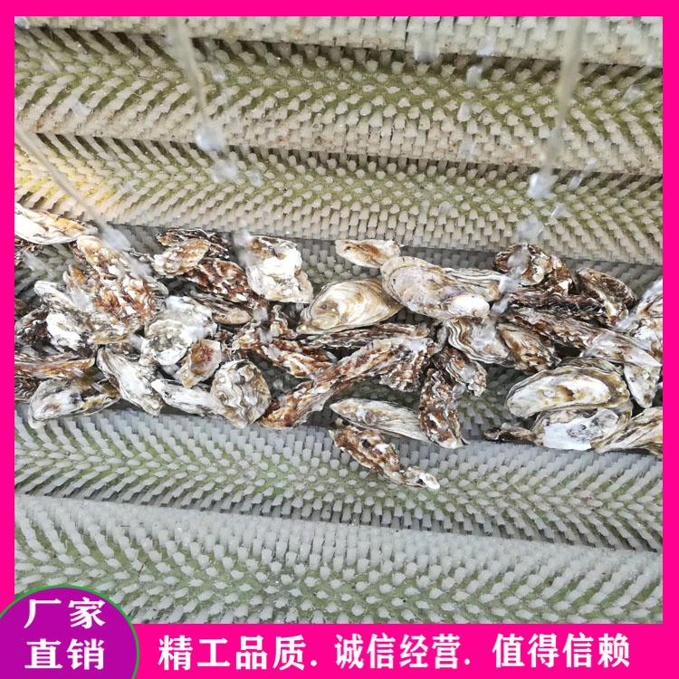 莲藕去皮去泥清洗机  猪蹄毛辊清洗机 多功能毛辊去皮机 土豆地瓜毛刷清洗设备