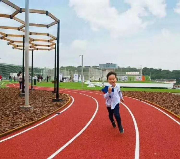 品牌远洋体育厂家直销epdm塑胶跑道儿童跑道塑胶颗粒游乐场地面