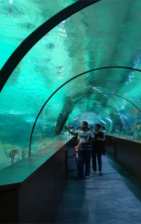 鸿翔水族馆 生产厂家 亚克力隧道制作 承接海洋馆工程