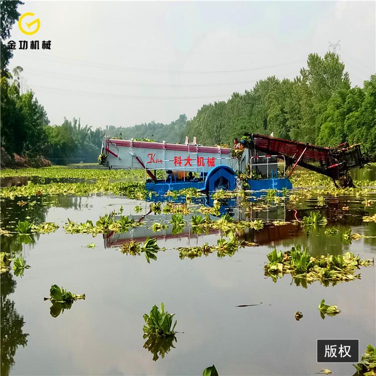福建水草收割船  全自动水葫芦收割船