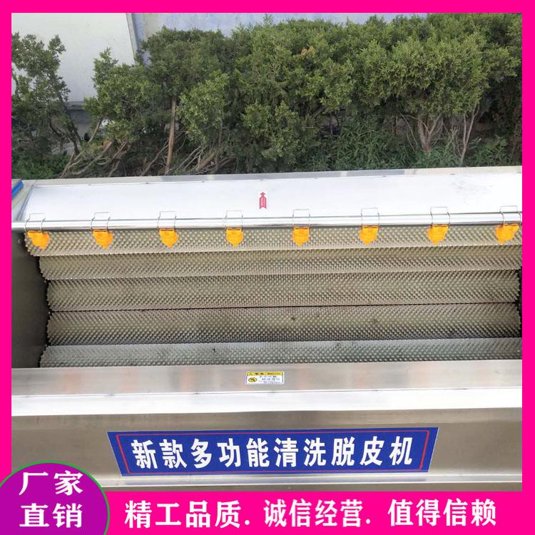 厂家生产胡萝卜毛辊清洗机 多功能毛刷清洗机 果蔬根茎类去泥机