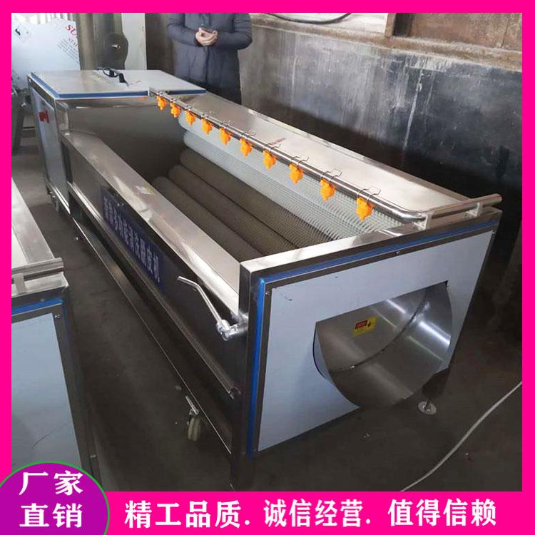 沙参黄精毛刷喷淋清洗机 蘑菇头去杂清洗机 不锈钢多功能毛辊清洗机