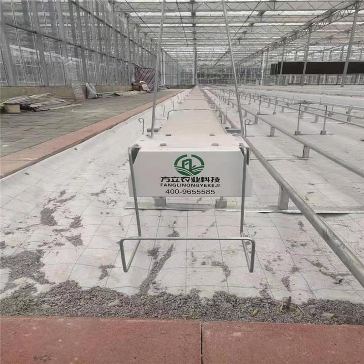 荷兰模式种植系统 荷兰模式无土栽培 模范厂家 全国承接