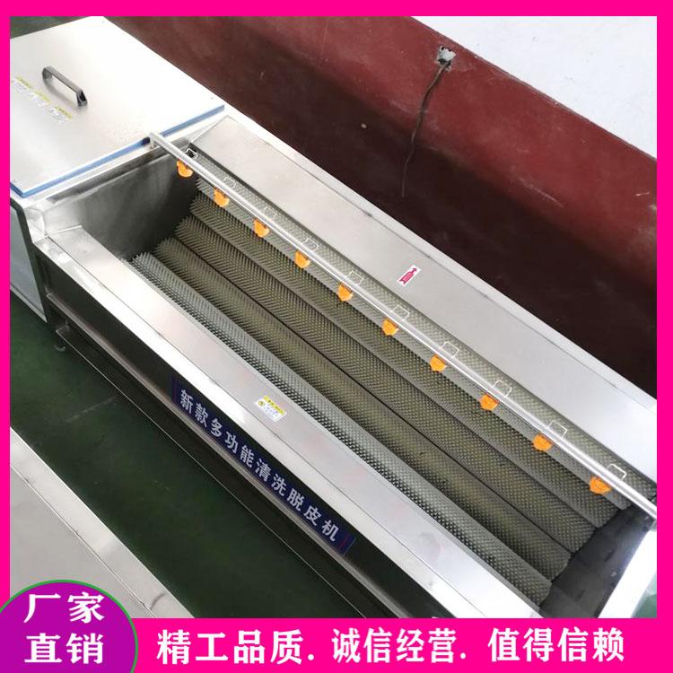 天麻毛刷清洗机 芋头清洗脱皮机 生姜清洗去杂质设备 土豆胡萝卜去皮机