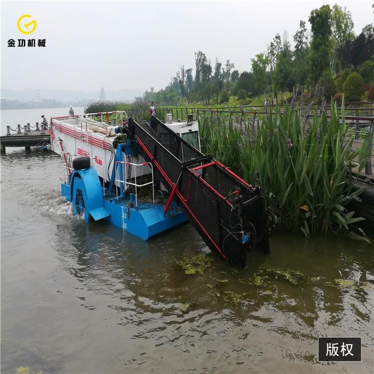 辽宁河道割草船  全自动水葫芦打捞船