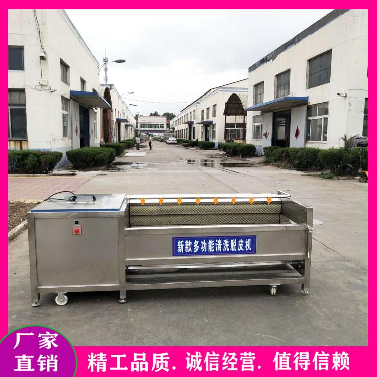 生产莲藕毛辊磨皮机 红薯土豆去皮清洗机 金铁锁黄精桔梗辊磨皮机 红薯土豆去皮清洗机