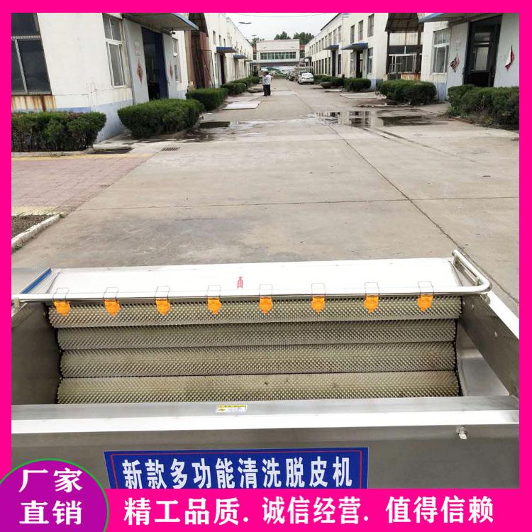 厂家生产金铁锁黄精桔梗独钉子毛辊清洗机 天麻毛辊脱皮机 三七何首乌洗泥机
