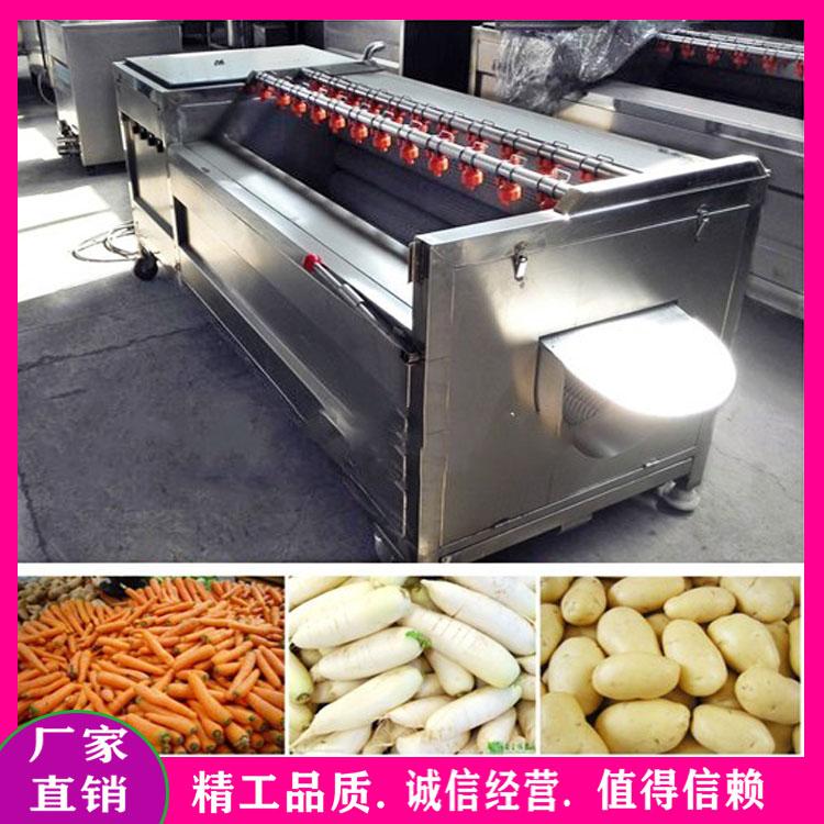 大姜清洗去杂质设备 芋头脱皮去泥机 黄精去皮清洗机 根茎类毛辊清洗机