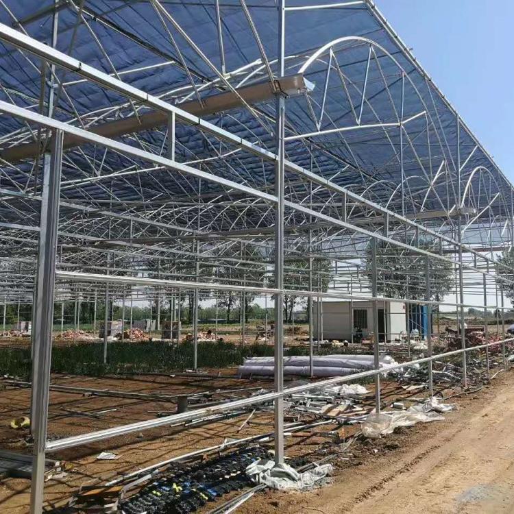 钢结构温室大棚价格 专业花卉温室大棚 智能温室大棚 玻璃温室大棚