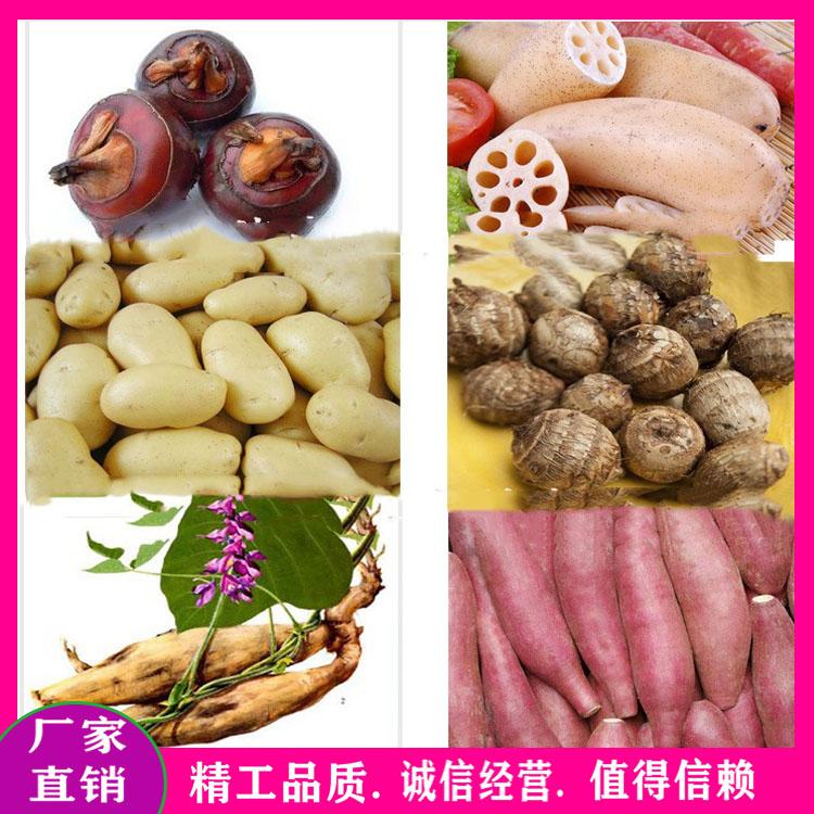 厂家直销毛刷式木耳清洗机 U型根茎类毛辊清洗机 毛辊花生去皮去泥清洗机