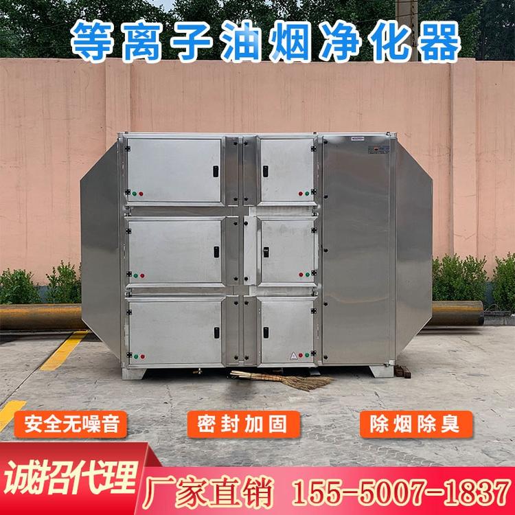 低温等离子油烟净化器设备 等离子废气净化器 等离子净化器 等离子光氧一体机设备 厂家直销