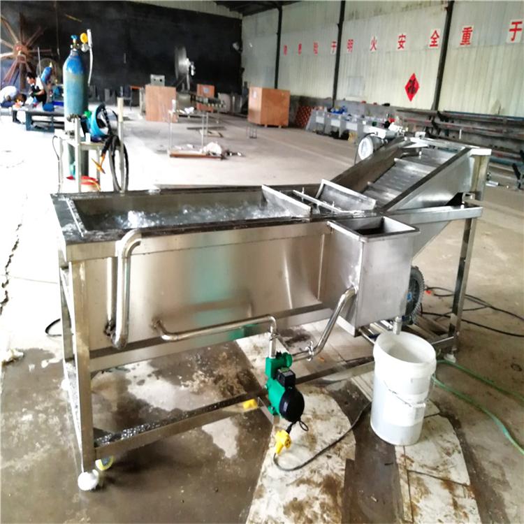 果蔬加工设备  欢迎来电咨询  果蔬清洗机加工定制
