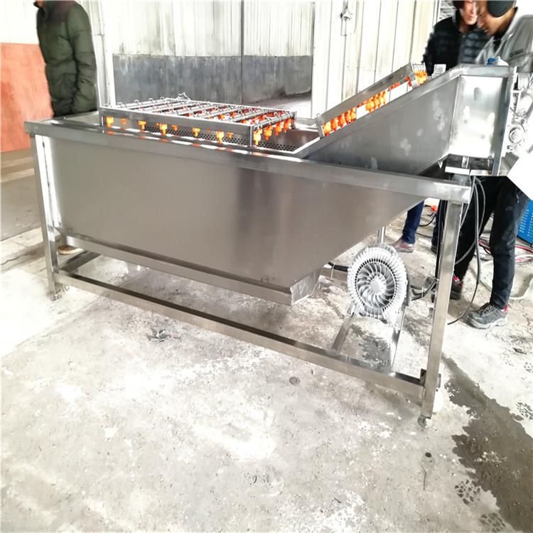 多功能蔬菜清洗机  损伤率小  果蔬清洗机加工定制