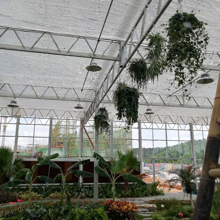 智能温室大棚承建 连栋智能温室 阳凯温室支持定制