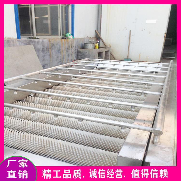厂家定制多功能毛辊清洗机 蔓菁去泥清洗机 大枣清洗机 沙姜鲜姜毛刷清洗机