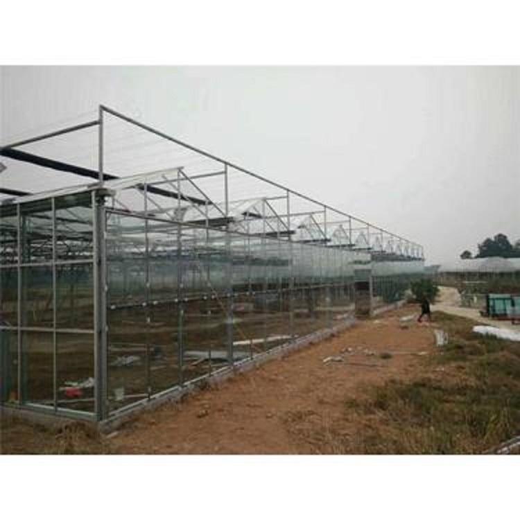 青州阳凯玻璃温室 玻璃温室建造 玻璃温室报价