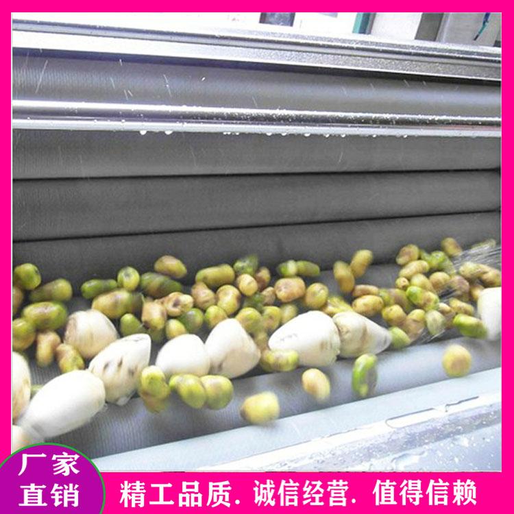 供应香芋毛辊去皮机 全自动土豆去皮清洗机 板栗毛辊清洗机 根茎类去皮机