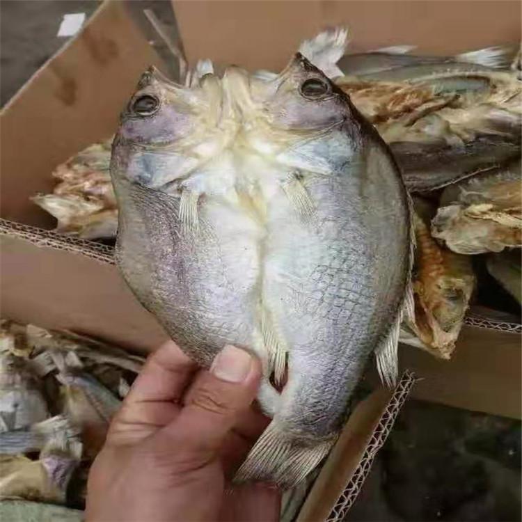 海产品干燥设备 海带烘干机 鱼翅烘干机