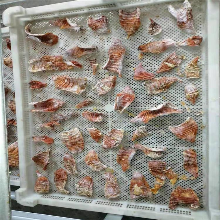 海产品干燥设备 全自动海产品烘干设备 贝类烘干箱