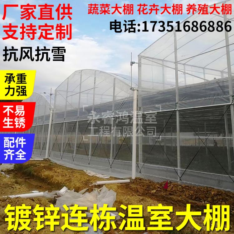 赣州花卉大棚养猪养鸡畜牧温室大棚骨架批发农业生态养殖大棚