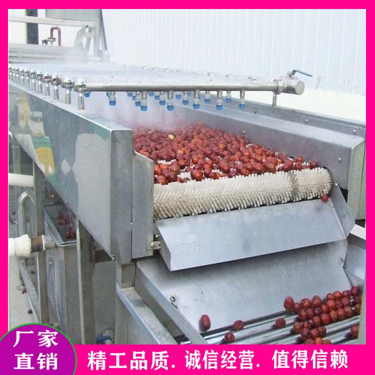天麻黄精药材毛刷清洗机 根茎类果蔬中药材清洗机 荸荠毛辊清洗机厂家直销