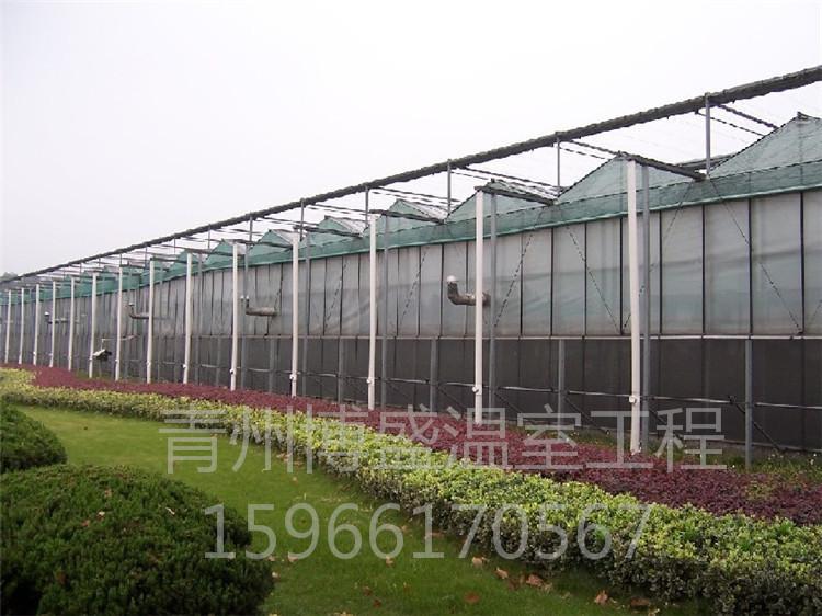 玻璃温室建设 中空钢化玻璃温室大棚承建 智能玻璃温室   博盛温室