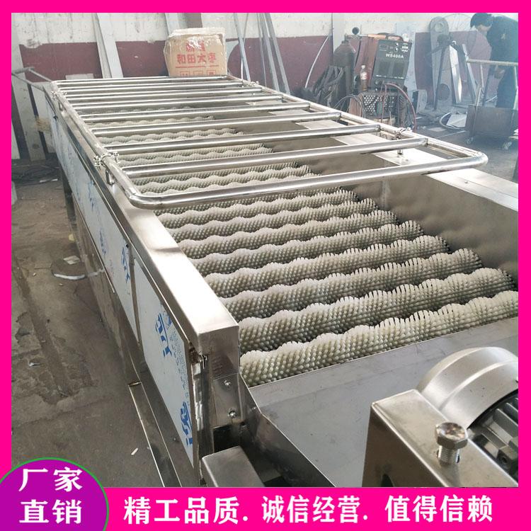 核桃去皮清洗机 洋葱加工设备 辣菜毛刷清洗机 不锈钢毛辊去皮去泥去杂清洗机