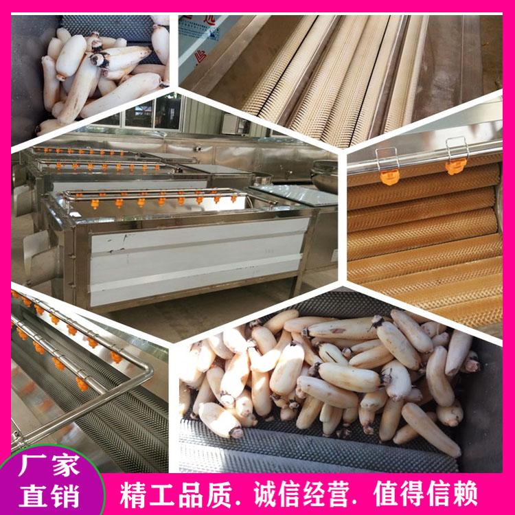 白萝卜土豆山药去皮清洗机 根茎类蔬菜红薯清洗机 全自动去皮机 毛辊清洗设备厂家