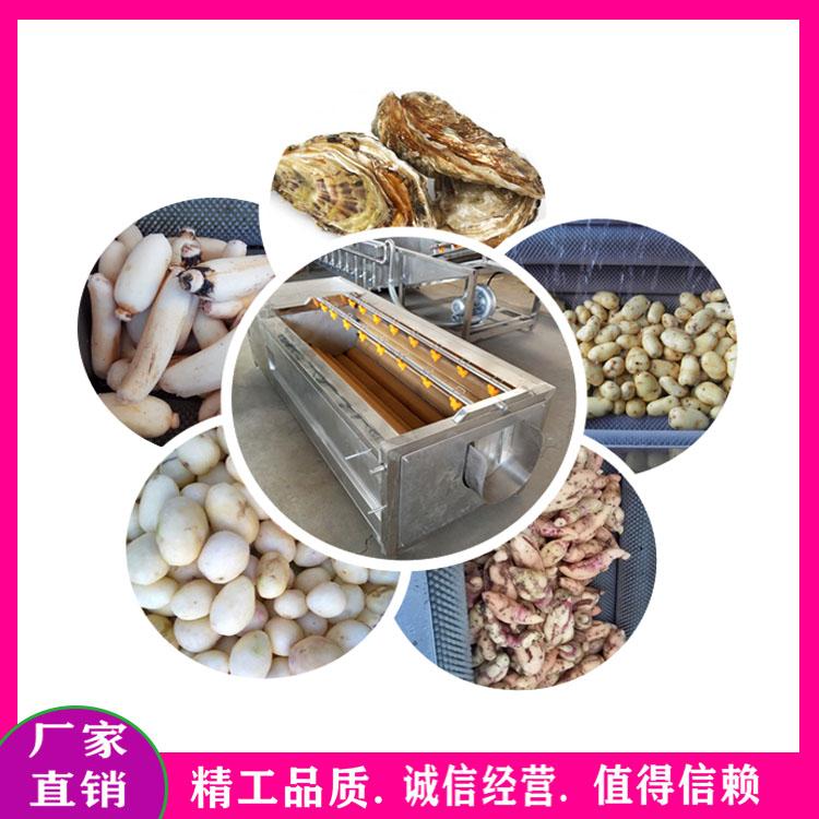 供应连续式土豆清洗机 红薯毛辊去杂清洗机 毛刷去皮洗菜机 农产品清洗设备