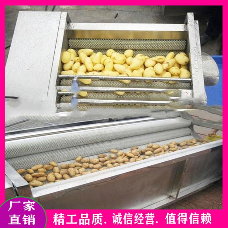 多功能洋葱毛刷清洗机 中药材软毛刷去泥清洗机 山芋芋头毛辊清洗机生产厂家