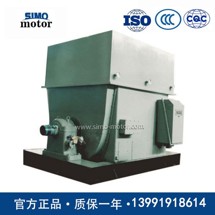 西安西玛电机YK1250-2/990 1250KW 6KV大型空冷座式轴承高速高压电动机