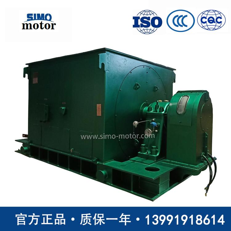 西安西玛电机YK1250-2/990 1250KW 10KV大型空冷座式轴承高速高压电动机