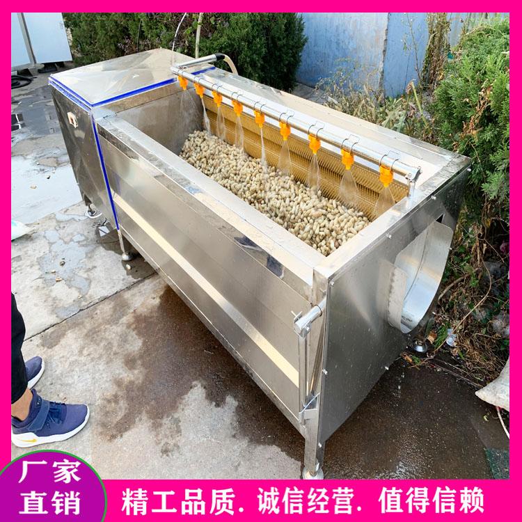 全自动莲藕萝卜去泥机 何首乌黄精中药材毛辊去泥清洗机 根茎类去污去皮清洗机