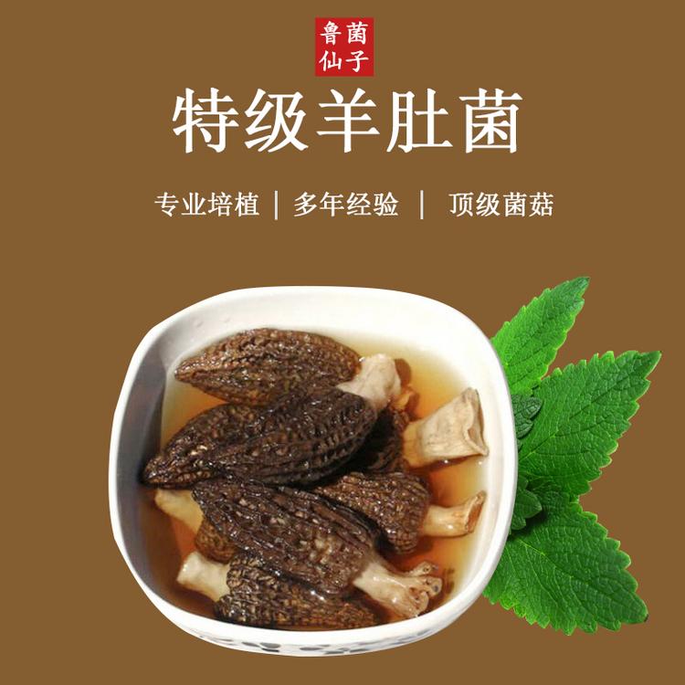 羊肚菌野生 羊肚菌干货礼盒基地直供