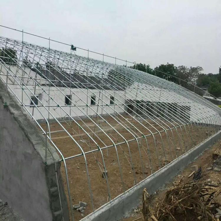 厂家直销日光温室大棚骨架 砖墙日光板温室大棚 冬暖式日光大棚