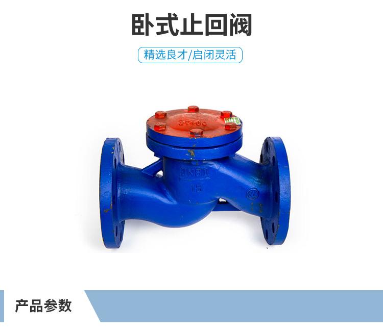 良工阀门 法兰卧式止回阀 H41T-16 DN40--DN150