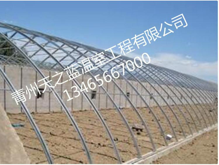 日光温室大棚 日光温室造价 日光大棚建设施工  天之蓝温室