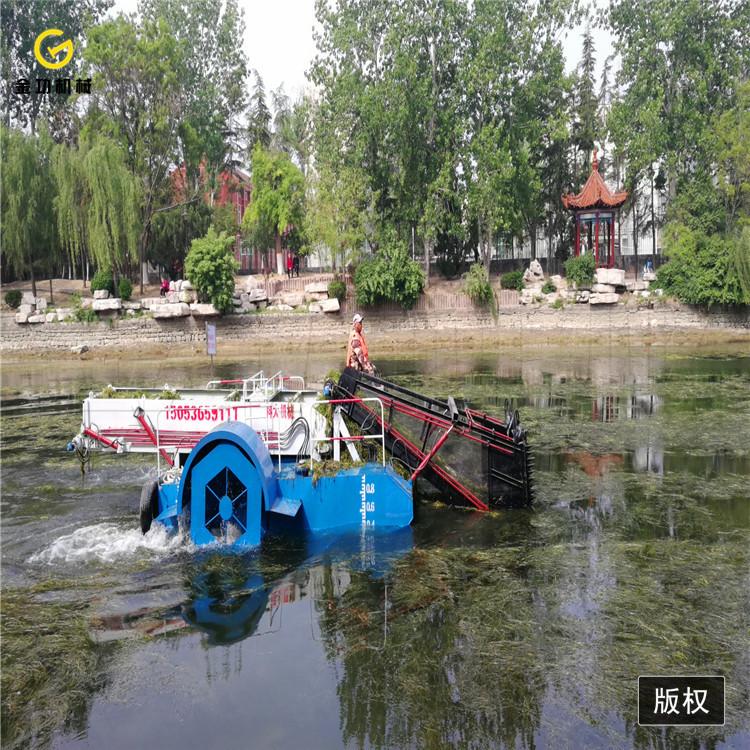 中型水葫芦打捞船  水草收割船