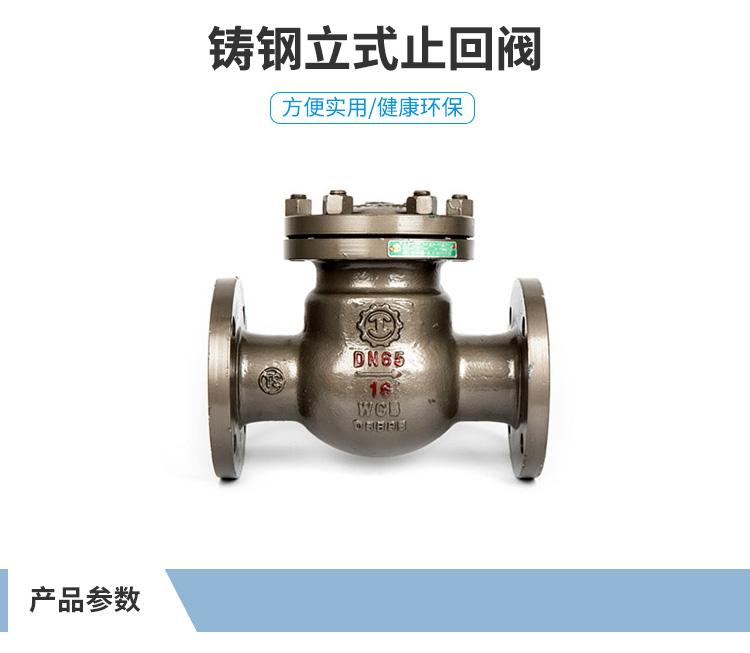 良工阀门 铸钢立式止回阀 H44H-16CDN40-DN300
