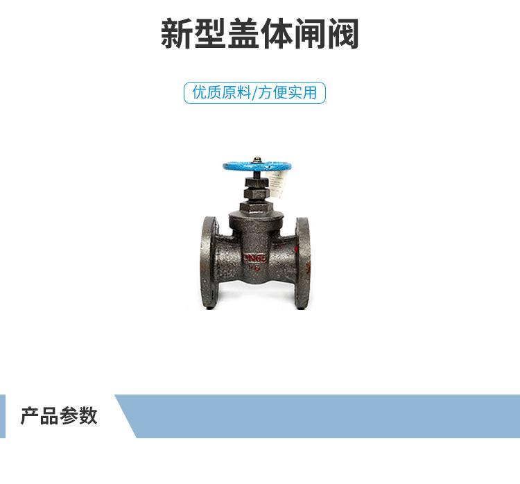 天津天才阀门 铸铁新型盖体闸阀Z45T-16