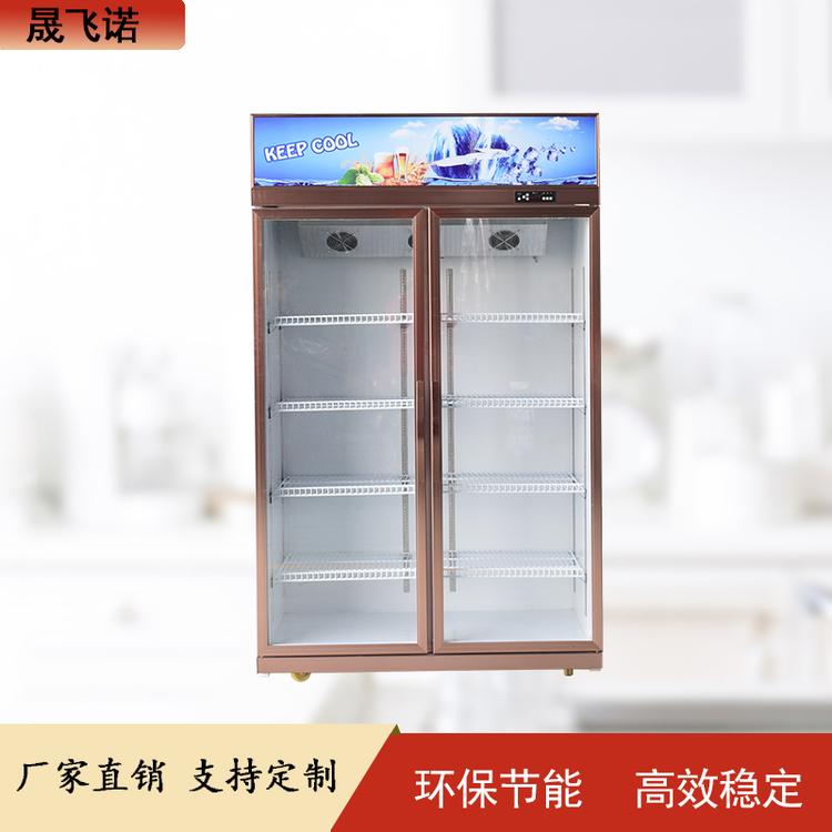 立式冷藏展示柜豪华啤酒柜矿泉水饮料展示柜立式商用冷藏柜