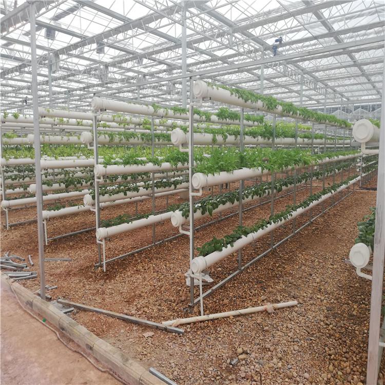 基质槽果菜种植系统 瓜果茄果豆类基质栽培设施 矮生作物栽培系统 价格低质量好